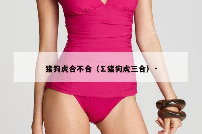 猪狗虎合不合(∑猪狗虎三合)·